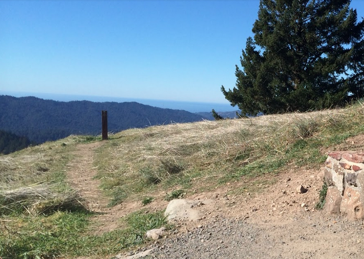 Peters Creek Trail to Long Ridge Road Loop Silicon Valley