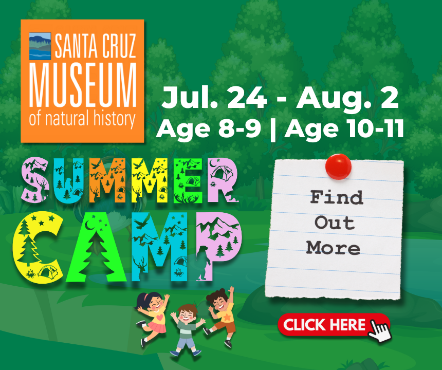 Santa Cruz Museum of Natural History - Summer Camp!