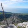 Andrew Molera State Park from the summit of Pico Blanco.
