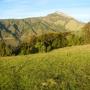Pico Blanco from the forbidden pastures of El Sur Ranch.