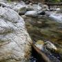  The South Fork of the Little Sur runs through limestone.