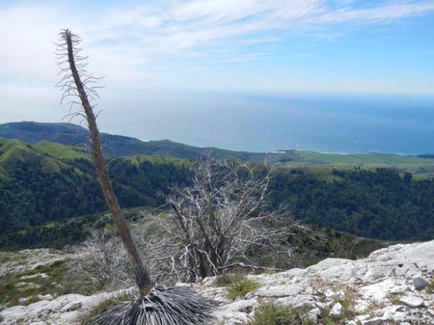 Andrew Molera State Park from the summit of Pico Blanco.