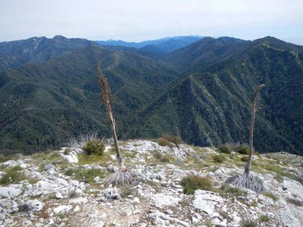 The view east from the summit of Pico Blanco.