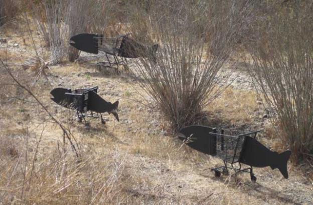 Following a cleanup during which the Friends of Los Gatos Creek pulled dozens of shopping carts from the waterway, they created a piece of found art.