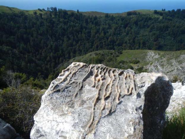 Strange stone overlooking the South Fork of the Little Sur Canyon.