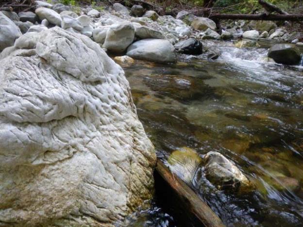  The South Fork of the Little Sur runs through limestone.
