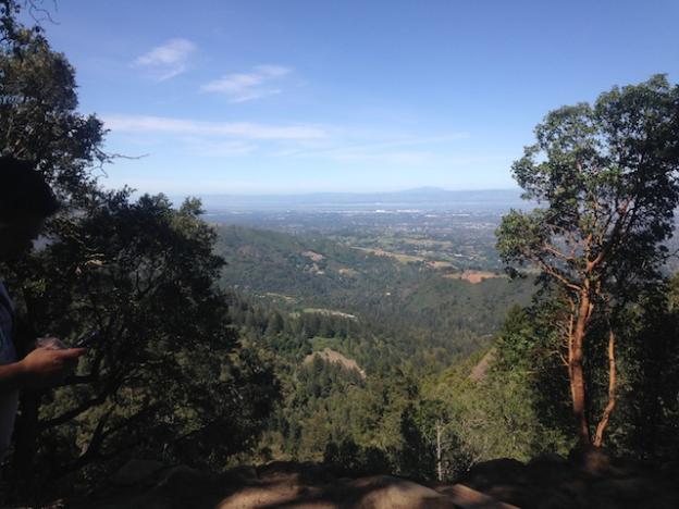 The view of the Valley. The trees felled to make room for this view are now benches that invite a longer look.