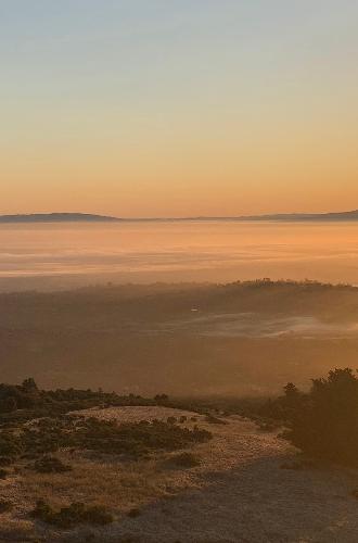 Sunrise from Windy Hill overlooking San Francisco Bay, copyright Eleanor Raab.