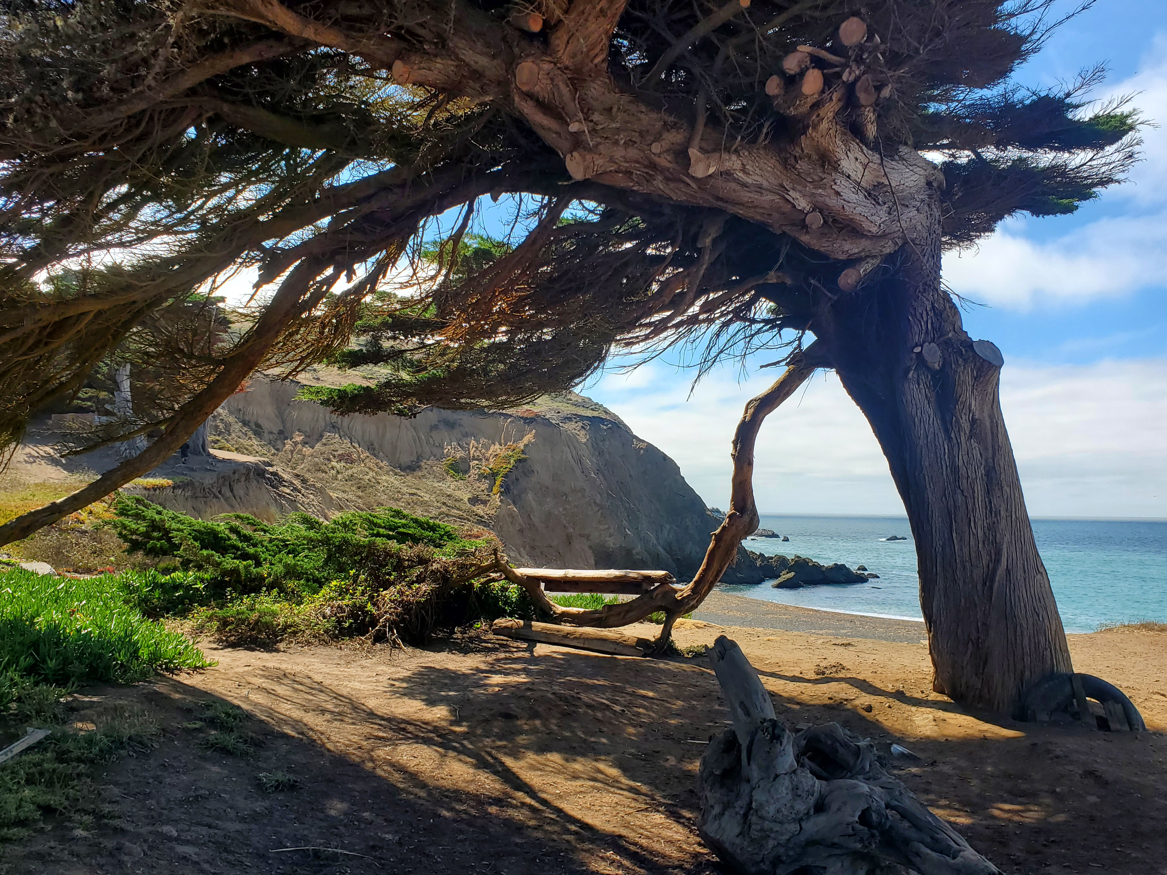Mori Point | Silicon Valley