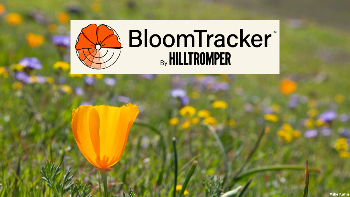 Image for display with article titled Press Release: Hilltromper Launches BloomTracker Interactive Resource to Help People Find Local Wildflowers