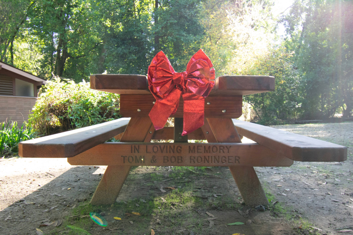 Image for display with article titled Tribute Tables Celebrate State Parks in Coastal San Mateo County