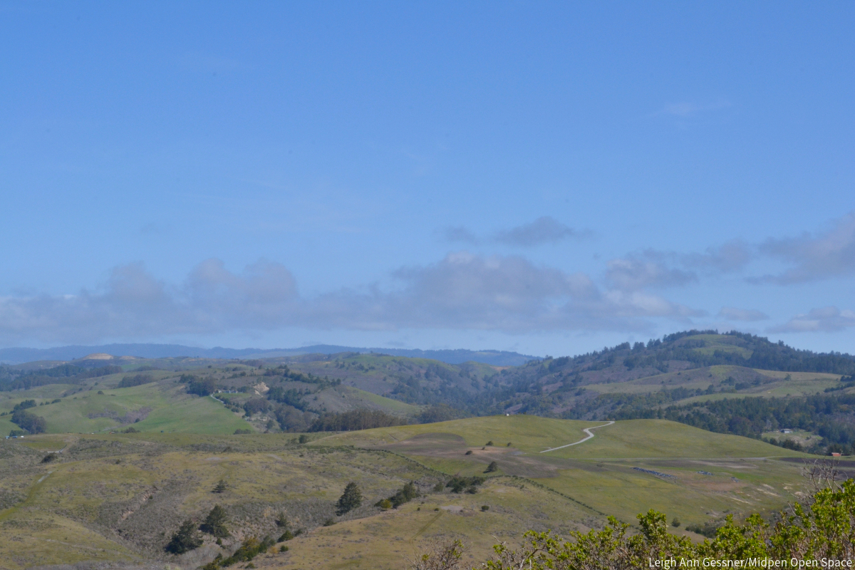 Cloverdale Ranch Preserve | Silicon Valley