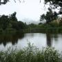 Tranquil Alpine Pond lies just west of the ridge of the Santa Cruz Mountains. 