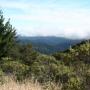 The Butano View Trail, as promised, has sightlines to the forested hills near Pescadero.