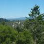 Some sandhills in the Santa Cruz Mountains are visible from the observation deck in Henry Cowell State Park. Photo by Emma Hiolski