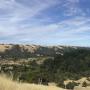 Classic Skyline Ridge view, from the Sunny Jim Trail. Graham Haworth photo.
