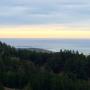 The view of Point Ano Nuevo from the Whitehouse Ridge Trail. Allison Titus photo. 