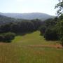 The Mary Davey Loop opens up onto a high meadow. 
