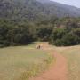 Little-used Mora Trail leads past a water tank through a large open meadow before dipping into the trees.