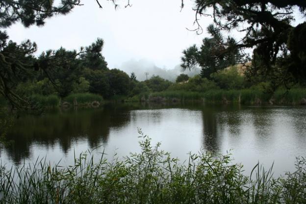 Tranquil Alpine Pond lies just west of the ridge of the Santa Cruz Mountains. 