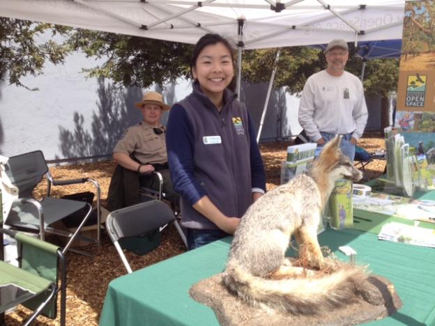  The Mid-Peninsula Open Space District’s beautiful taxidermied fox won Best of SHow.