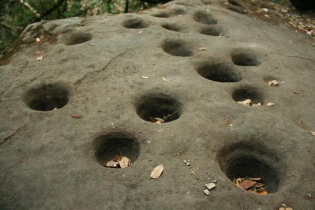 The grinding stone on Sunny Jim Trail. It's not marked, but you'll find it if you look for a massive, smooth-faced boulder on Sunny Jim between the pond and Butano View Trail.