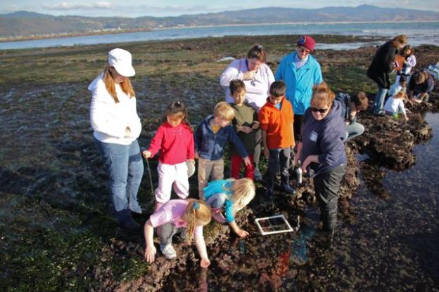 The Marine Science Institute's many field trip programs could reach more kids with the passage of AB988. Photo courtesy Marine Science Institute.