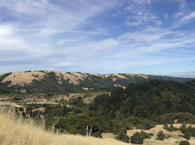 Classic Skyline Ridge view, from the Sunny Jim Trail. Graham Haworth photo.