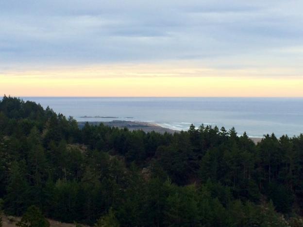 The view of Point Ano Nuevo from the Whitehouse Ridge Trail. Allison Titus photo. 