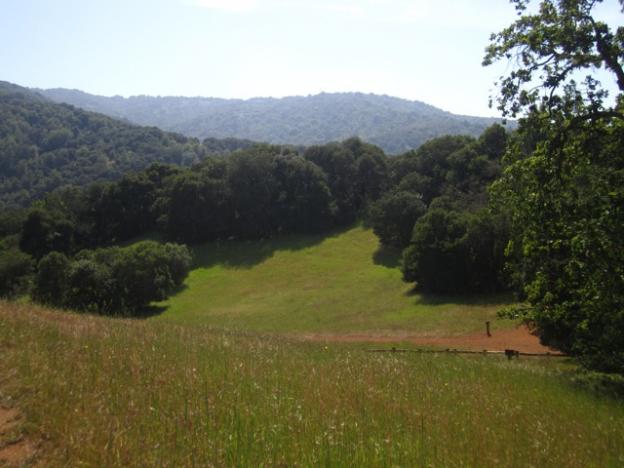 The Mary Davey Loop opens up onto a high meadow. 