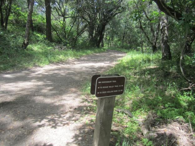 Turn right at the junction of Mora and Ravensbury to reach Chamise Trail.