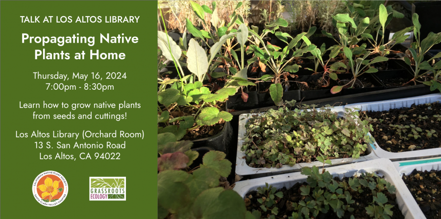 Talk at Los Altos Library: Propagating Native Plants at Home | Silicon ...