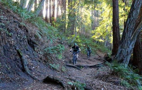 Tunnels for mountain lions; trails for you and me. Photo by Bruce Dorman